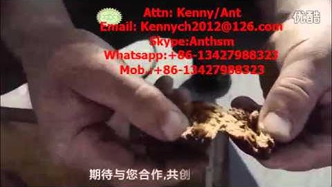 QH-100 dates pitting and cutting machine, fruit pitting, coring , stoning, stone removing machine