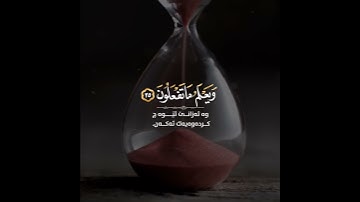 رحمة الله بعباده ، وهو الذي يقبل التوبة .. القارئ محمد كمال هاشم تلاوة خاشعة من سورة الشورى