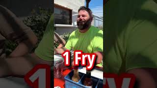 The Shed Boise Food Review - Family Bike Ride to Downtown Dinner!