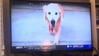 College Game Day Tribute to Kirk Herbstreit’s Dog, Ben