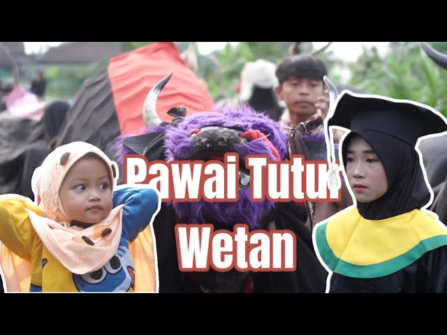 Pawai Banteng Haflah Tutur Wetan class=