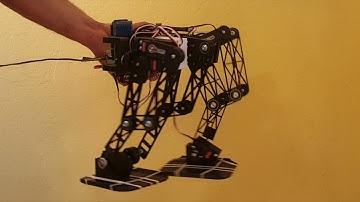 Hybrid leg for Bipedal Robot