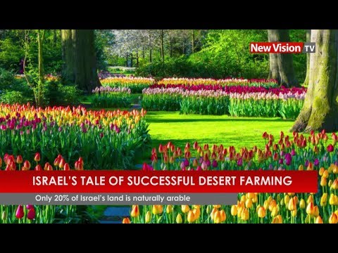 Israel’s Tale Of Successful Desert Farming