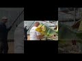 🍌 Бананы в Сочи?! Да, вы не ослышались!