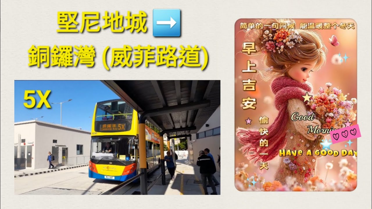 Hong Kong Bus CTB 8293 @ 5X 城巴 Alexander Dennis Enviro500 堅尼地城 銅鑼灣(威菲路道)