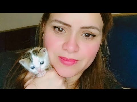 يا اهل المقطم الكرام في واحد بمناخير عبيط واهبل بينا شيدكو