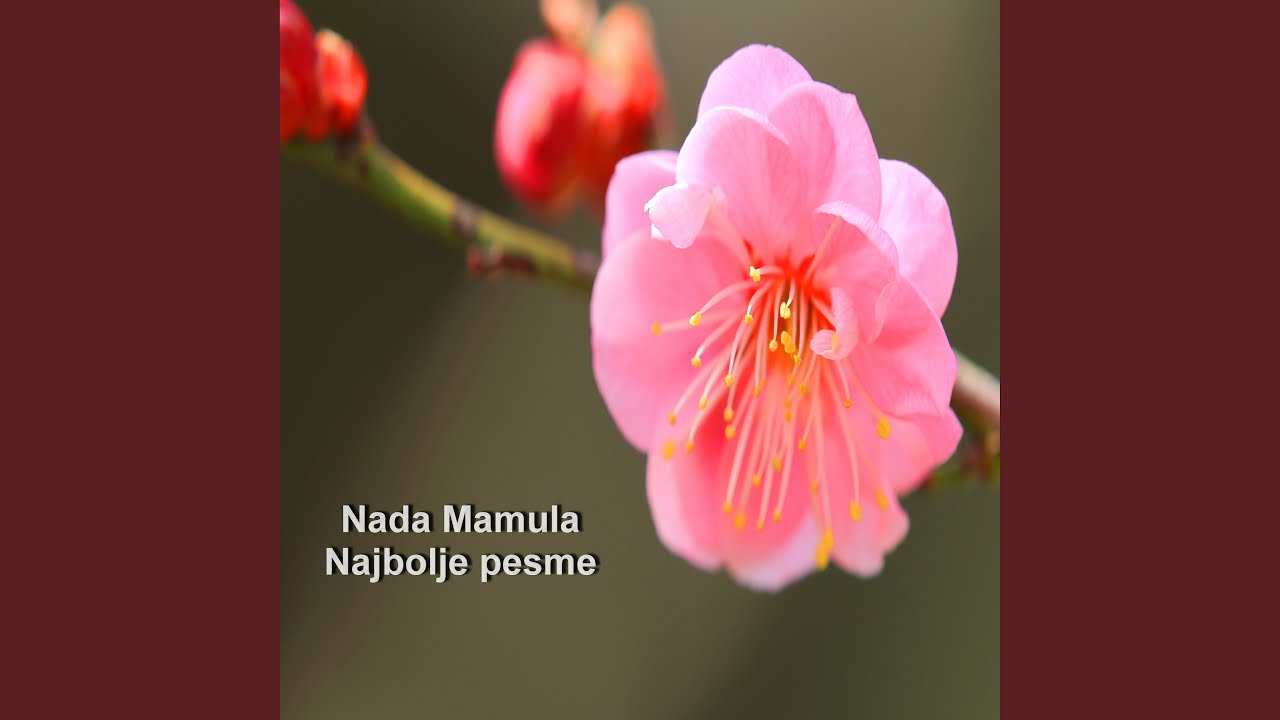 Niz polje idu babo, sejmeni