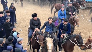 SAROY ELINING ORI ISLOM PALVON XAMDA ZALOTOY JUFTLIGI