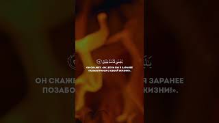 Сура: «Аль-Фаджр» аяты: 24-26.чтец: Хани Ар Рифай #quran #чтение #напоминание #коран #сура #ummah