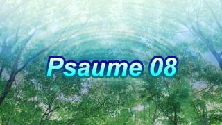 Psaume 08