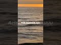 O meri laila(lyrics) ...... #lyrics #shorts #viral #trending