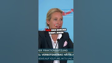 Alice Weidel zum AfD-Verbot @WELTVideoTV