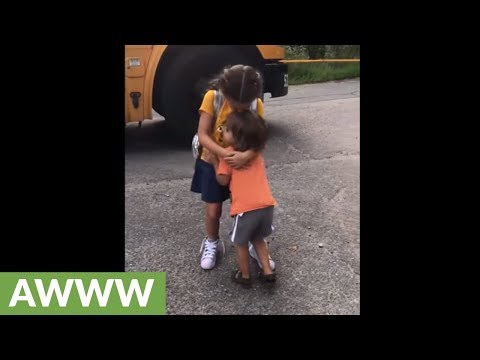 Cute kid hugs sister when she gets off school bus