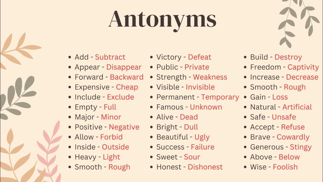 Discovering the world of antonyms - YouTube