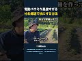 電動ハサミが最強すぎる 竹を爆速で杭にする方法