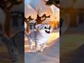 Cat animation