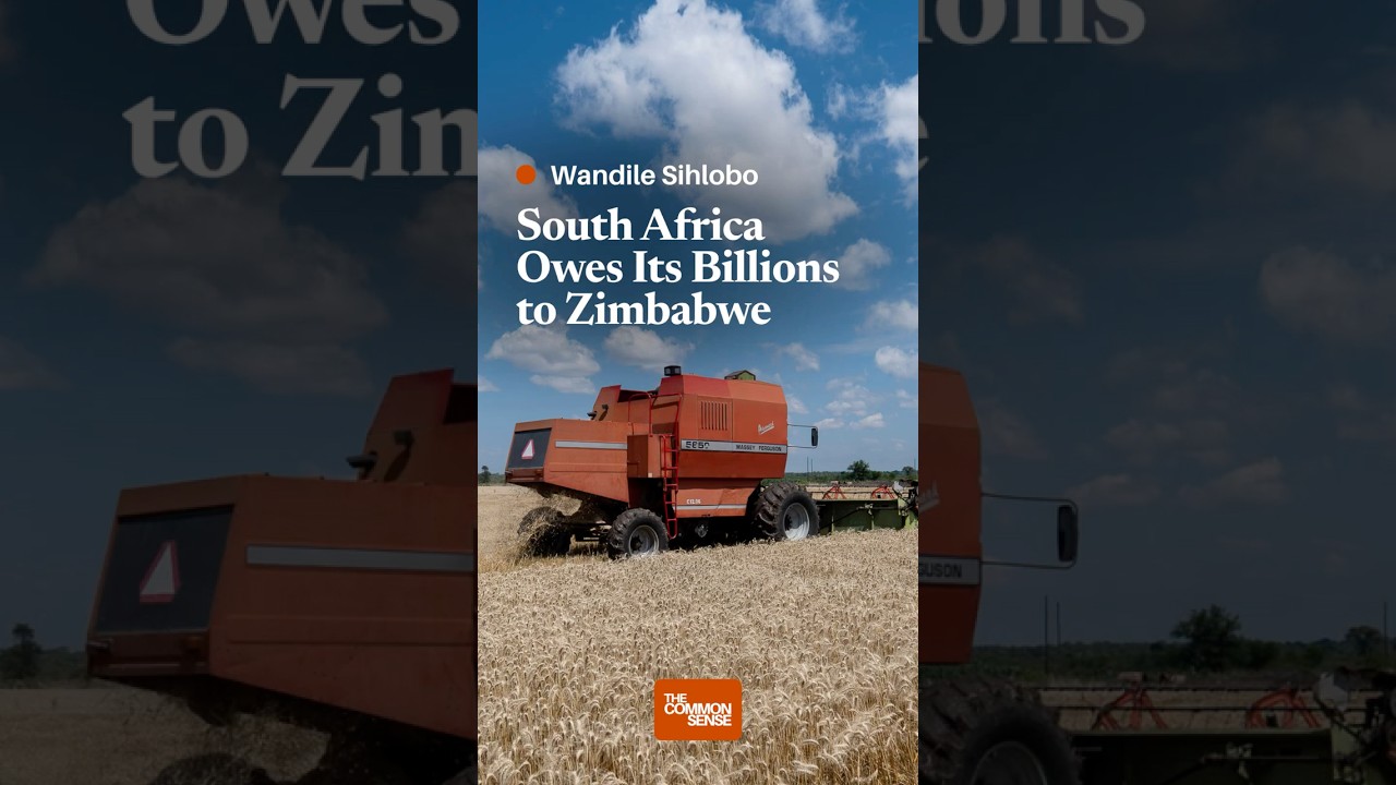 South Africa Owes Its Billions to Zimbabwe