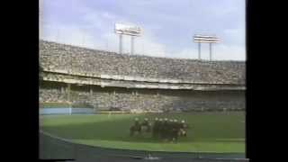 Baltimore Orioles: Final Years at Memorial Stadium (1989-1991) 1989 Why Not