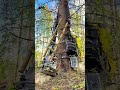 Stairway to nowhere? 👀🌲 Wait for it… Real forestry. Real surprises. John Deere 1270G #forestry