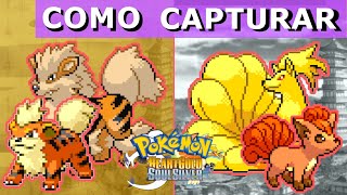 Information How to catch Growlithe / Vulpix in Pokémon HeartGold & SoulSilver Update