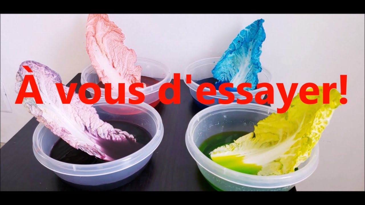 La science à la maison - YouTube
