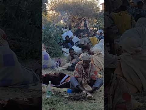 አንተን አምኜ Viralshorts Ortodoxmezmur Ertrea Shorts Habesha Love Mix Duet Viralvideoシ Youtubeshorts