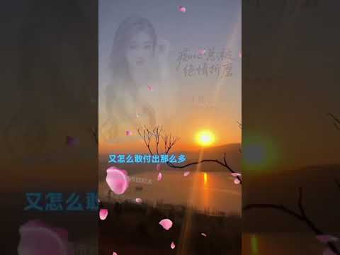 于洋   癡心總被絕情折磨