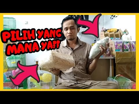 Video: Cara Merawat Hamster