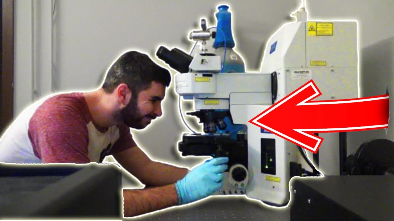 Un día en la vida de un BIOTECNÓLOGO | PhD en Bruselas