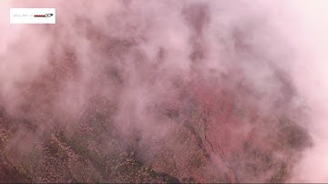 سورة البقرة من الآية 220 ــ 224 القارئ الشيخ حسن صالح