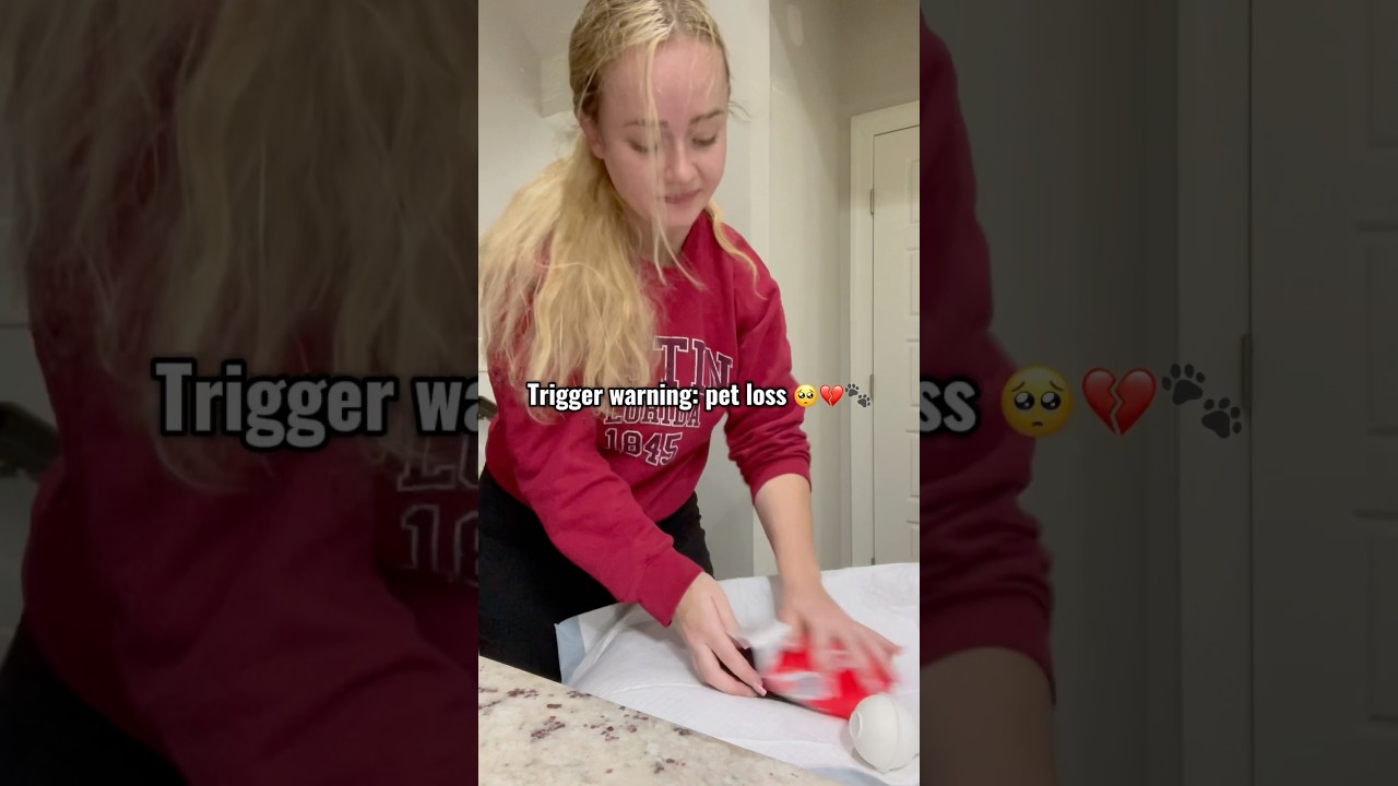 2 месяца назад я спасла двух осиротевших щенков — часть 6 💔 