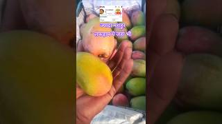 Barabanki Sabji Mandi Bhav Today | Lucknow Wholesale Market Rate | Sabji Price Update