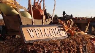 Captain Jack's Pumpkin Patch