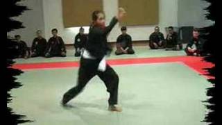Trailer from the seminar with the Indonesian Team 2007 Mpeg2