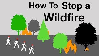 How to Stop a Wildfire