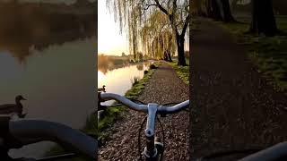 🚴 Peaceful Cycling Along the River at Sunrise 🌅 | Relaxing Bike Ride POV