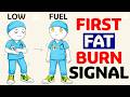 When Does Your Body Actually Start Burning Fat? The Real Biology Behind It