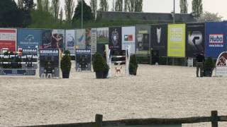 Juwel Girl Csij 140Cm Bonheiden