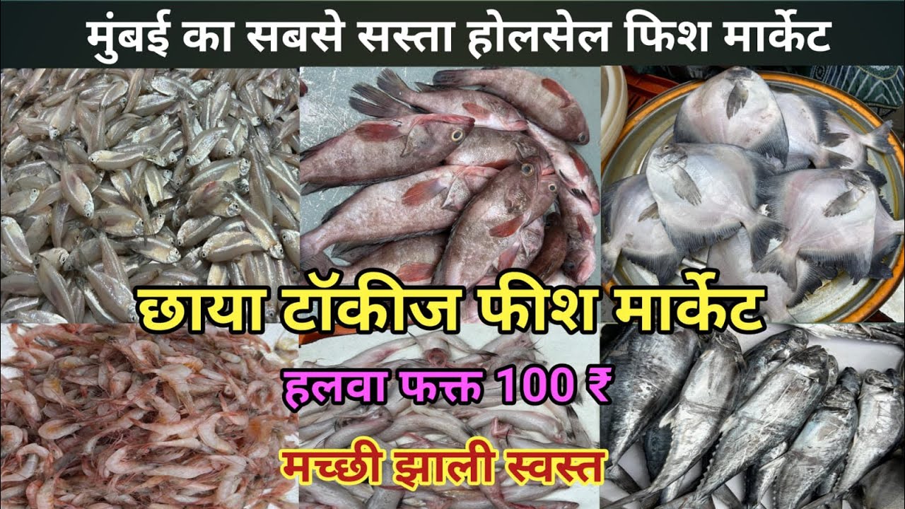 मुंबई का सस्ता होलसेल फिश मार्केट | Kalyan Fish Market Today | Kalyan Fish Market Wholesale 