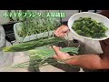 小ネギ葉ねぎ