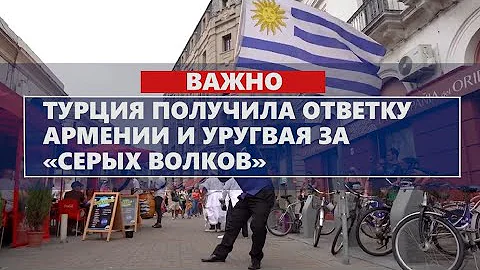 Турция получила ответку Армении и Уругвая за «серых волков»