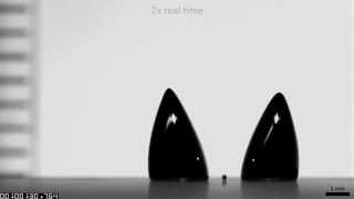 Magnetically triggered droplet splitting on a superhydrophobic surface