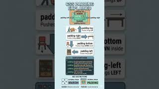 CSS Padding vs Margin: Learn the Difference! 📐 #shorts #css #programming #programming #html #nextjs