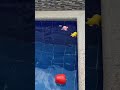 water fun #shorts #tiktok #satisfying