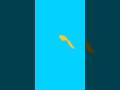 Fish animation #2 🐟 #2179crafty #art #fishy
