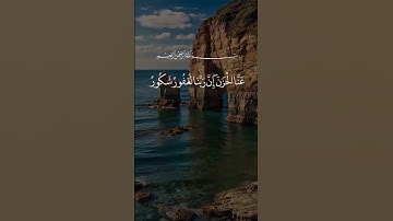 تلاوة خاشعة ومؤثرة بصوت جذاب ومؤثر #القرآن_الكريم #تلاوة_خاشعة #تلاوة_مؤثرة #اكسبلور #لايك