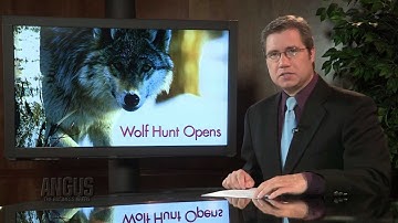 The Angus Report, Oct. 15, 2012: Top Industry News