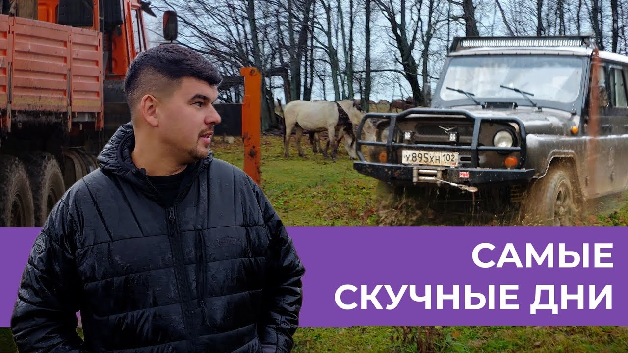 ПРИВЕЗЛИ СОЛЬ ЛОШАДЯМ | УАЗИК НЕ ПРОЕХАЛ | ДОМА ВСЕГДА ЛУЧШЕ