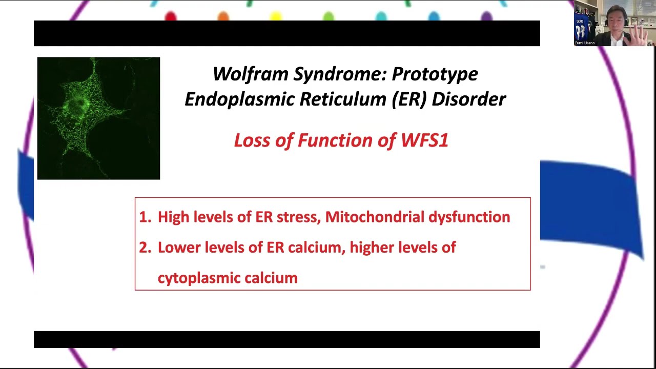 Wolfram Syndrome Clinical Trials: Advancing Treatments from Medications to Gene-Editing
