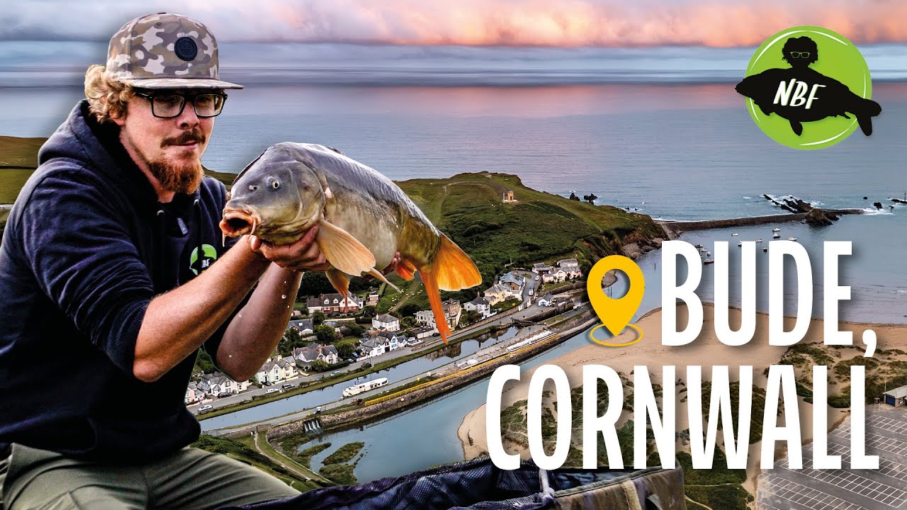 The Ultimate Canal Carp Location?